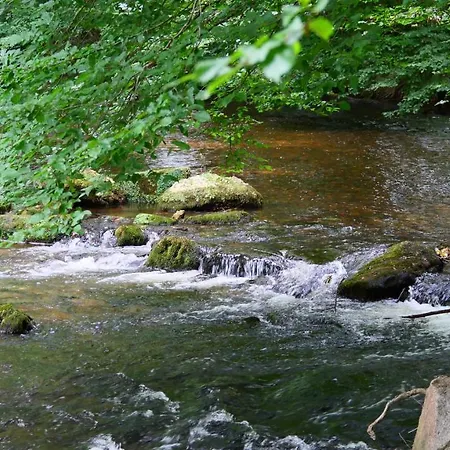 Les Chalets Du Moulin De Valade Condat-sur-Trincou Buitenkant foto