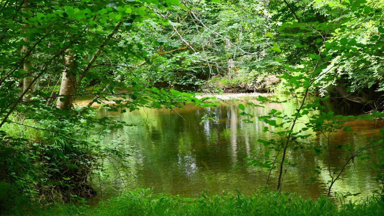 Les Du Moulin De Valade Vakantiehuis Condat-sur-Trincou